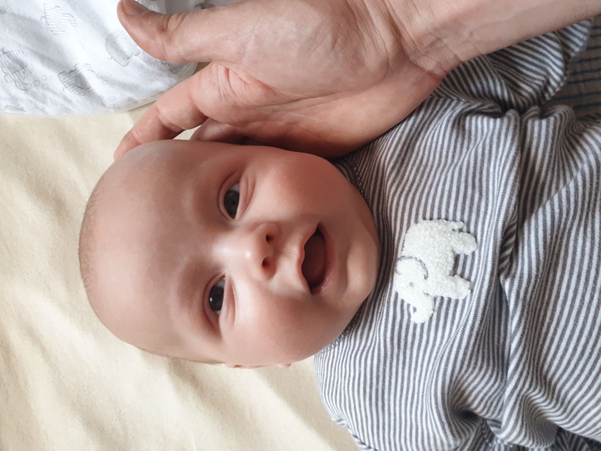 Hannes